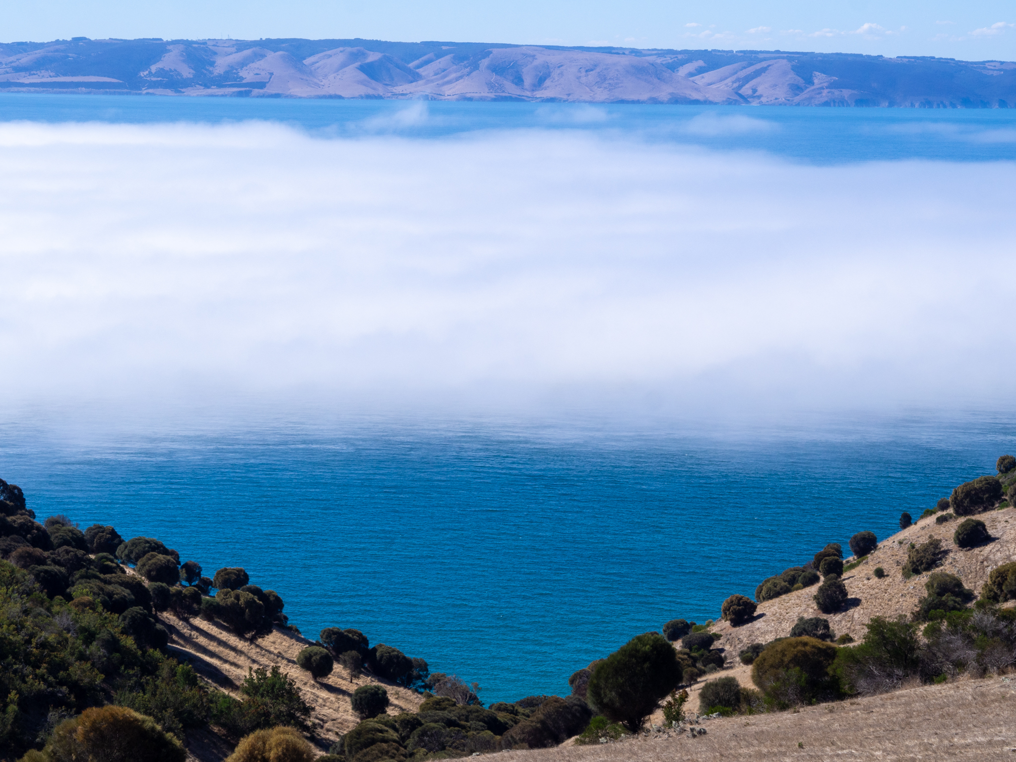 Atmospheric River