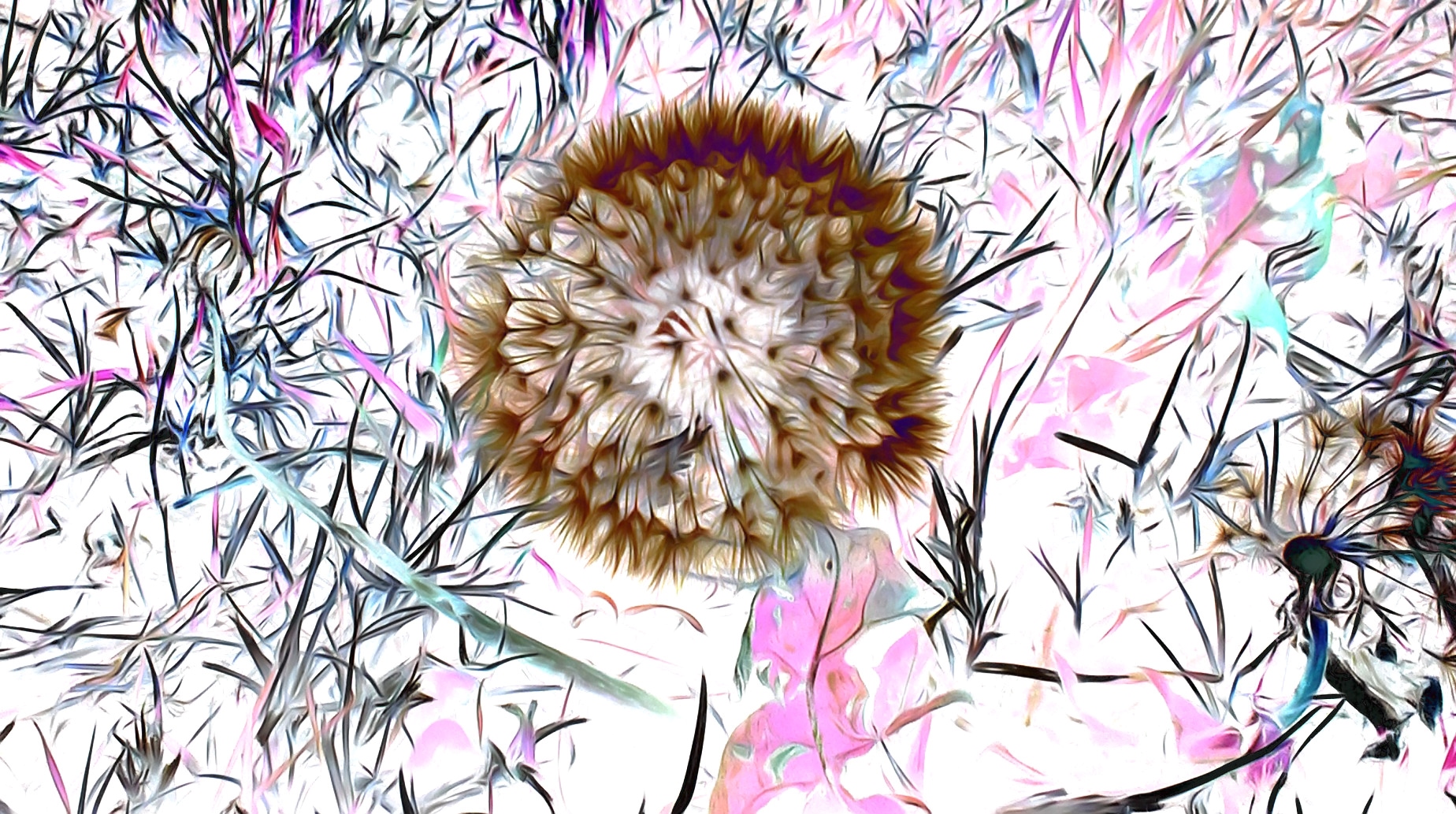 Dislodging Fish Bone Invisible City